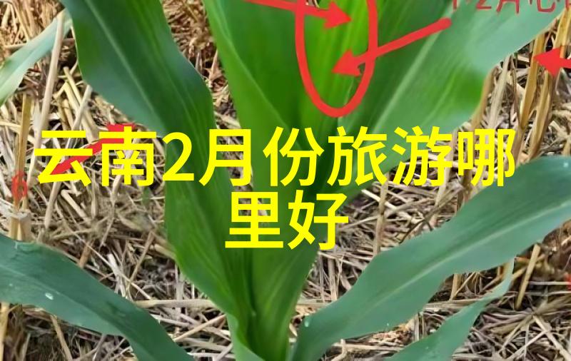 如何训练让自己成为能够每天骑行200公里的人