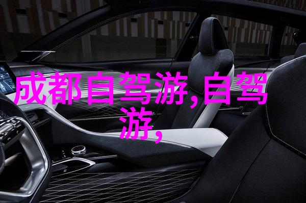 旅游攻略-银发游子探索适合老年人的旅行社选择