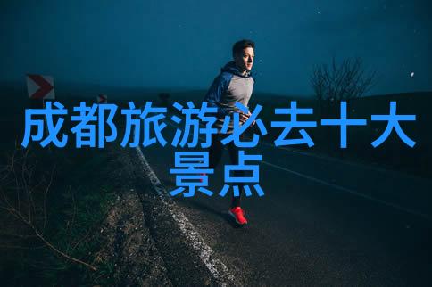 探索原始森林时安全措施是什么应如何避免野生动物接触