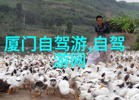 如何利用户外小游戏大全促进身体健康和心灵放松的同时又不影响工作效率呢