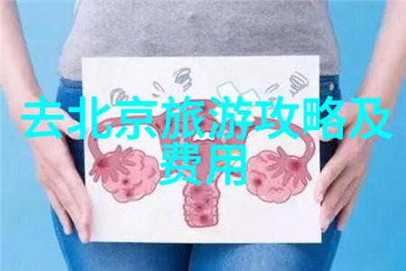 从大唐西市到古城墙西安自由行必游景点有哪些