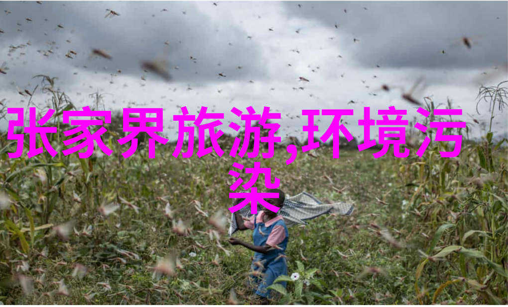 在大自然怀抱里的成长历程  一位初中学生对未来的憧憬和思考
