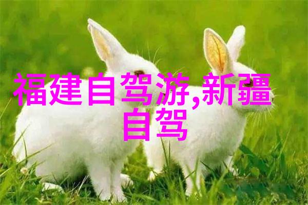 撕裂人国语主题下的精神探索