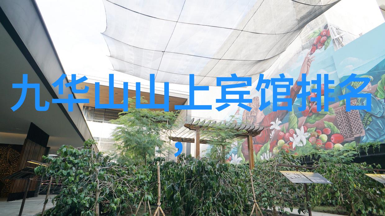嵊泗列岛自驾游攻略 - 探索东海之珠嵊泗列岛自驾游指南