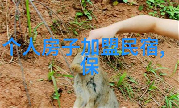 青岛之旅寻找最适合的住宿地