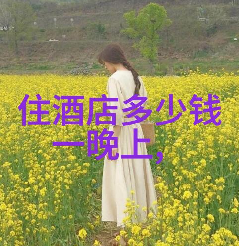 自驾游保险指南如何选择合适的旅行险