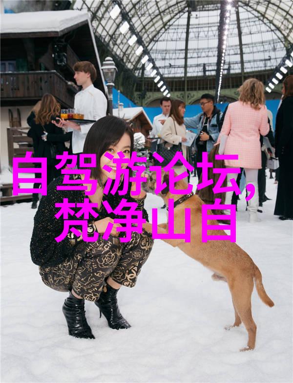 西岭雪山旅行指南如何找到最佳的住宿地点