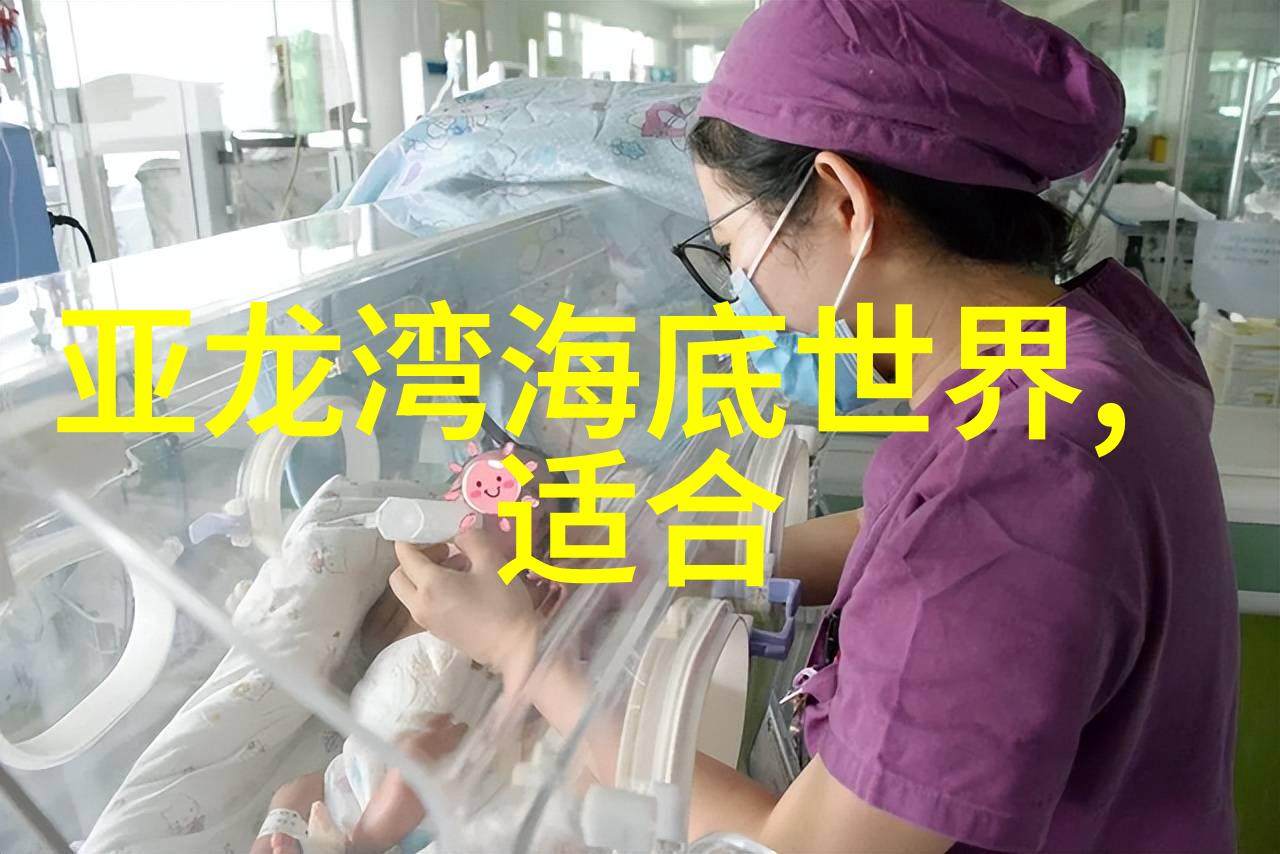 荒岛求生记从废墟到奇迹