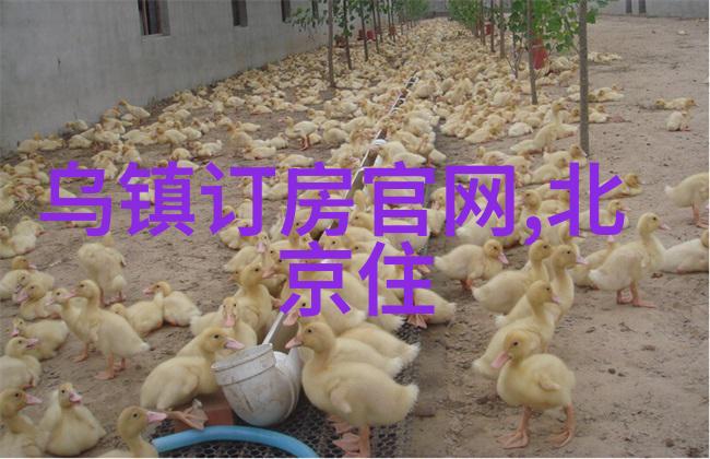 北京探秘一站多游的自由行指南