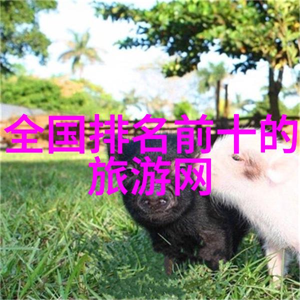 户外探险攀岩徒步与野营的魅力