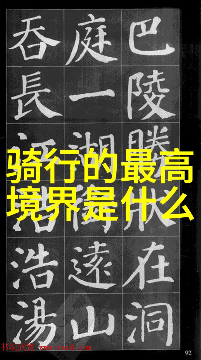 宁波路通单车百货商店捷安特庄市店推广骑行App提升用户体验