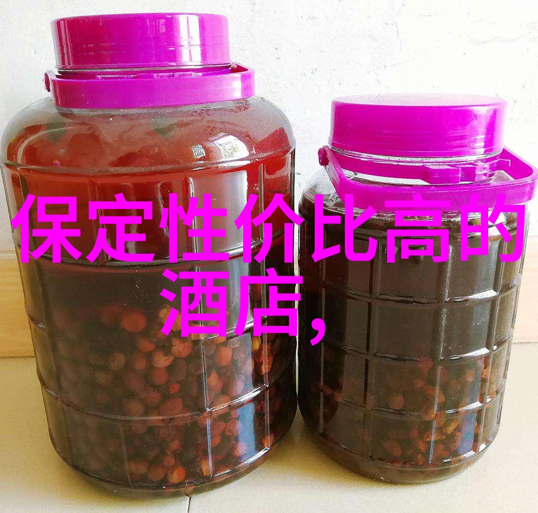绽放的雪花之下探索冬季最美丽的旅游胜地