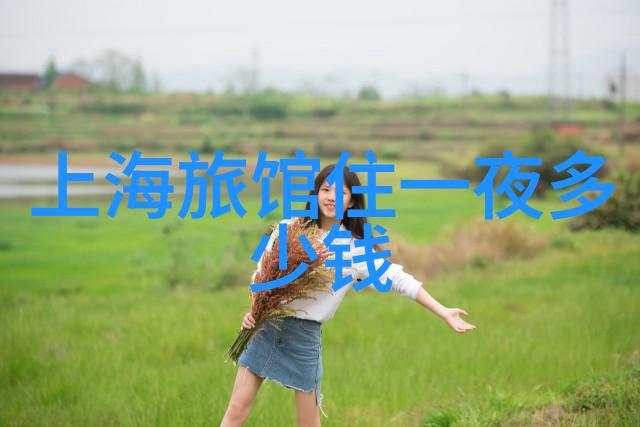 成都特色茶馆体验由私人导游领略文化底蕴