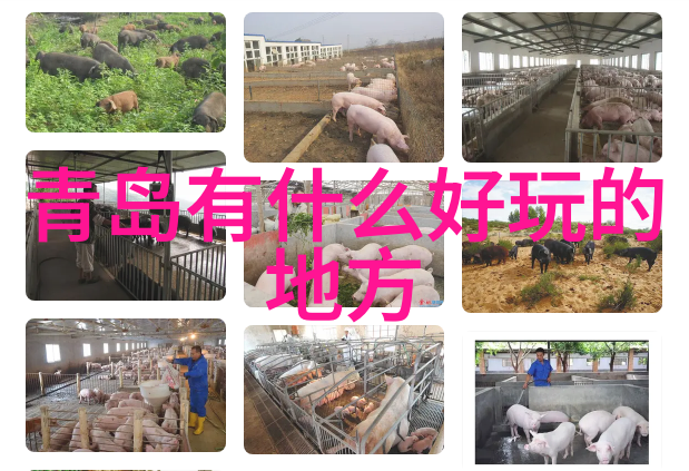 省心省体全国疫情巡游记