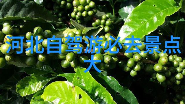 国内旅游攻略我是如何在假期里省钱又玩得开心的