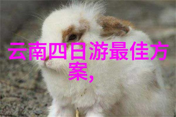 出国旅行申请海外游签证办理流程