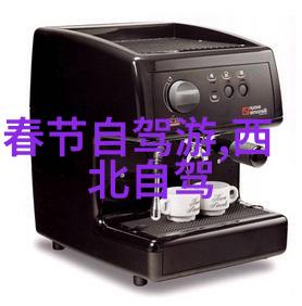 上海探秘三日游揭秘老城根的故事与风情
