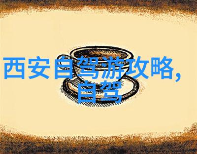 50后60后同行旅行中青年伴游探索