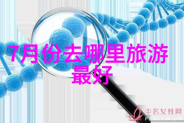 从教室到森林我们的户外教育旅程记录