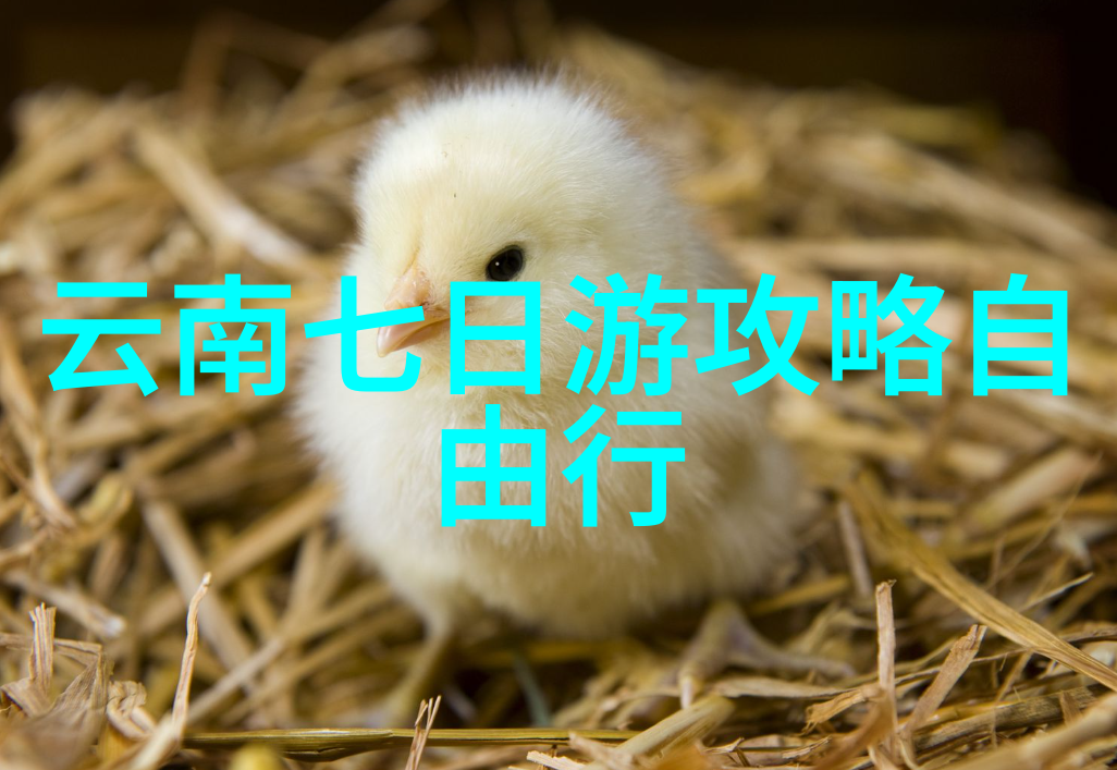 海韵绘卷威海旅途中的奇迹与诗