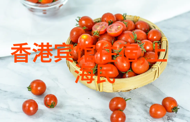 亲子友好路线图带孩子去探索历史与自然的完美结合地