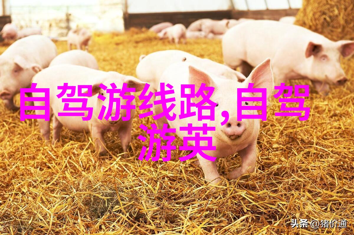 如何规划三亚5天游最佳民宿推荐