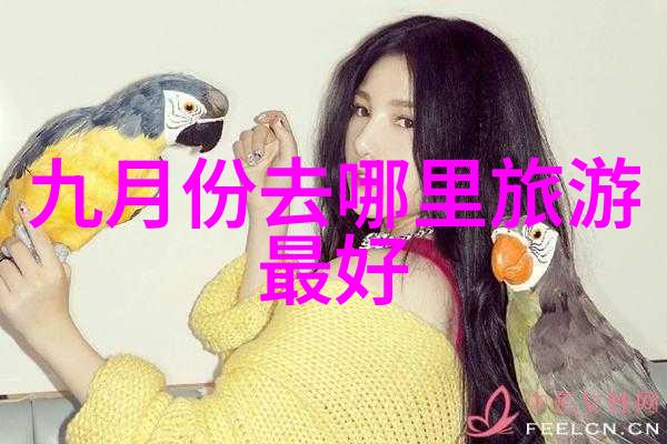绕青海湖一周体验山西边陲的宁静与美丽