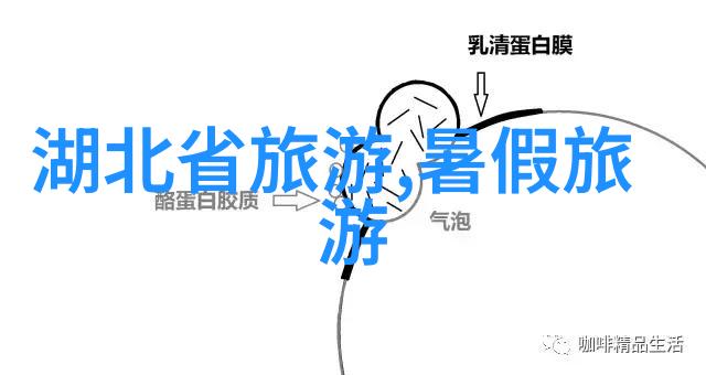 上海自驾游从码头到大桥笑中有智行中有趣