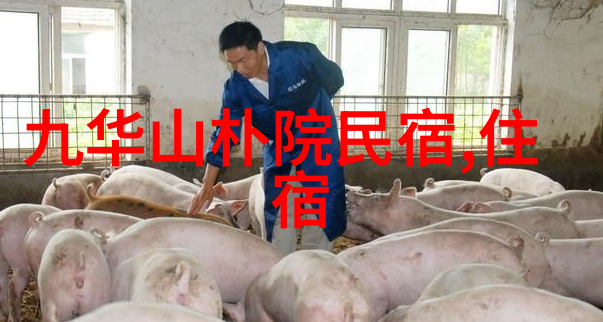 清明时节祭祖扫墓自然景观中探讨旅行社注册条件