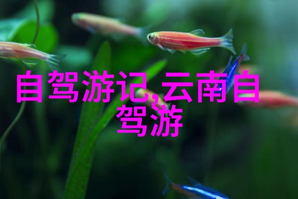 国外最美的地方我心目中的天堂马尔代夫的清澈海岸