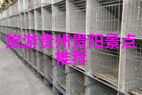 探秘济宁古韵沉淀与现代喧嚣的交响乐