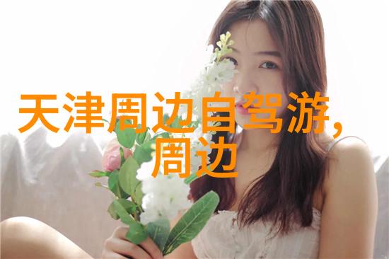 河北澳洲留学流程费高AP难捉