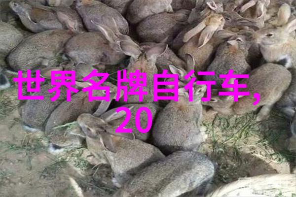哪里报旅游团便宜探秘全球最佳选择