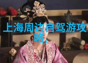 上海美食引擎探索当地人气佳肴的官方指南