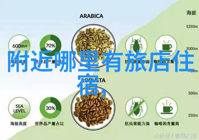 西安古韵游踪自由行探秘
