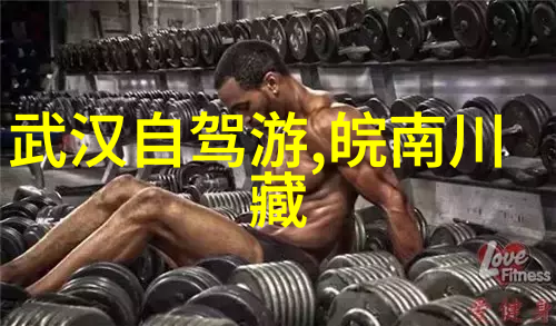 山东探秘踏迹古韵寻梦之旅