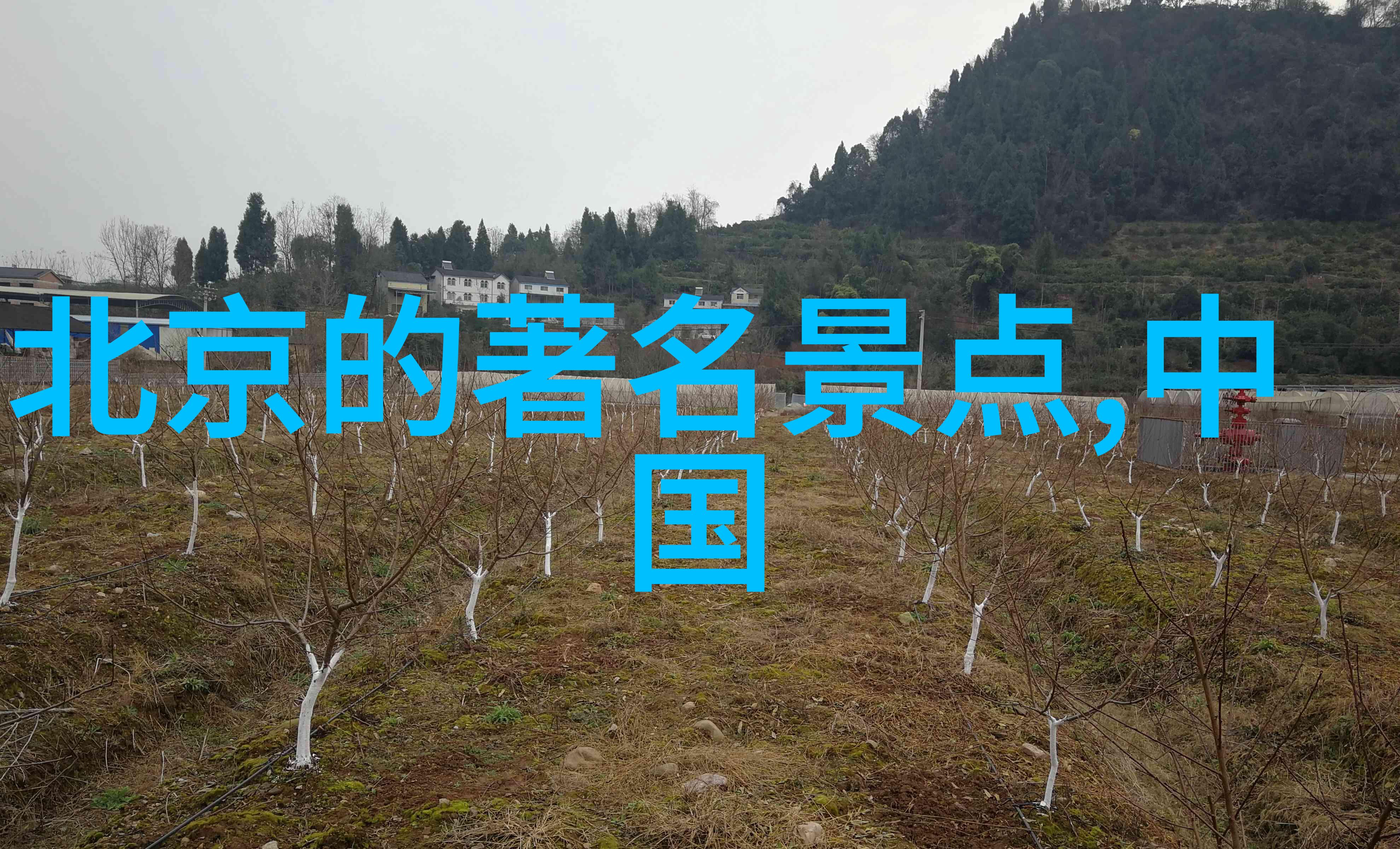 探索未知这些区域活动名字背后隐藏着什么秘密