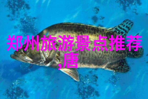 自驾游之谜揭秘最适合旅行的车型