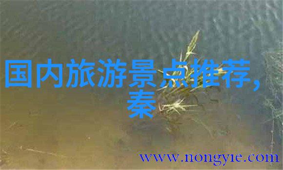 探索广西高峰森林公园的秘密携程网页版揭秘游玩项目之谜