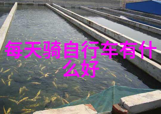 陕西美食大探索品味西安的传统风味
