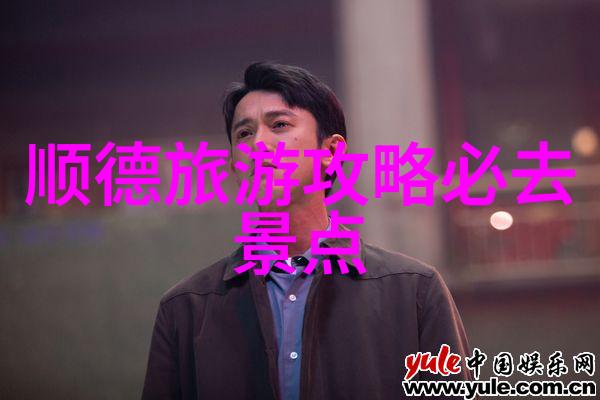 中国哪些小吃街以其美味的传统小吃而闻名