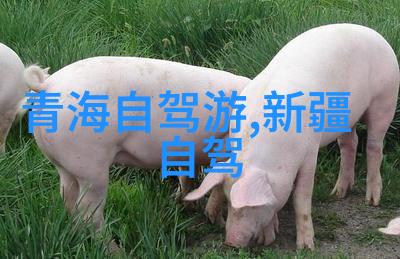 潍坊风筝博物馆免费开放九寨沟三日游旅行团价格优惠