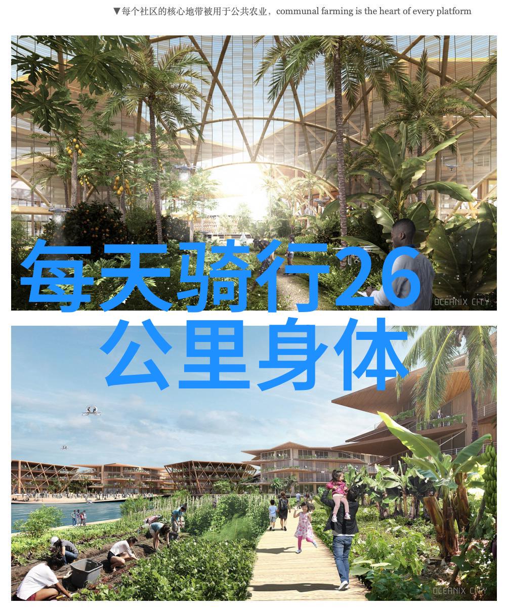 探索东北风情一段自驾游的故事