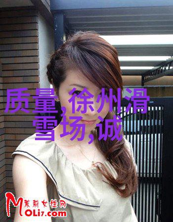 探索未知如何选择最适合你的旅行伴侣公司