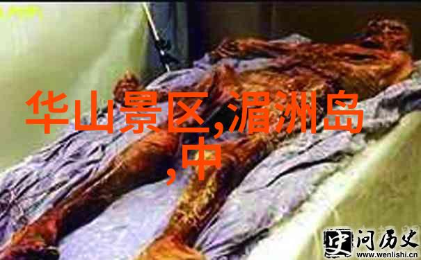 新冠防控新动态疫情指南更新解析