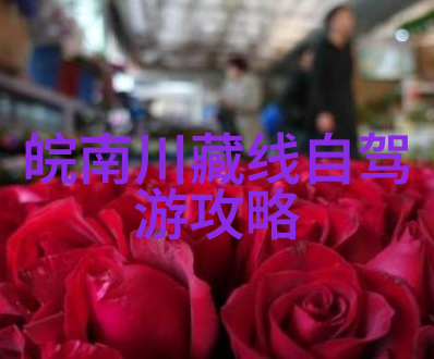 幼儿园户外活动的组织与实施我是如何让孩子们在户外玩得高兴又安全的