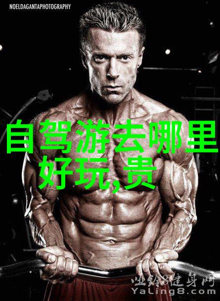 云南旅行指南在大理古城漫步你会遇到哪些不可错过的美景