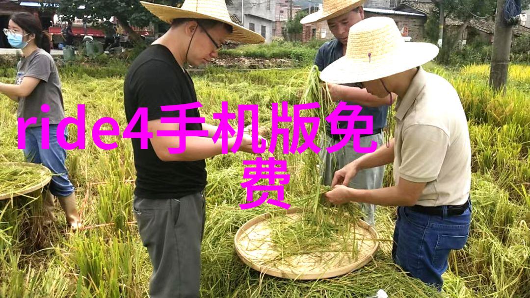天津自驾游沿黄海之滨的探索之旅