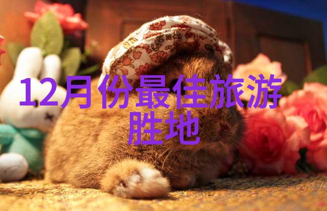 广州出境被劝退2022 - 逆流而上的旅行者一年一度的出境难题