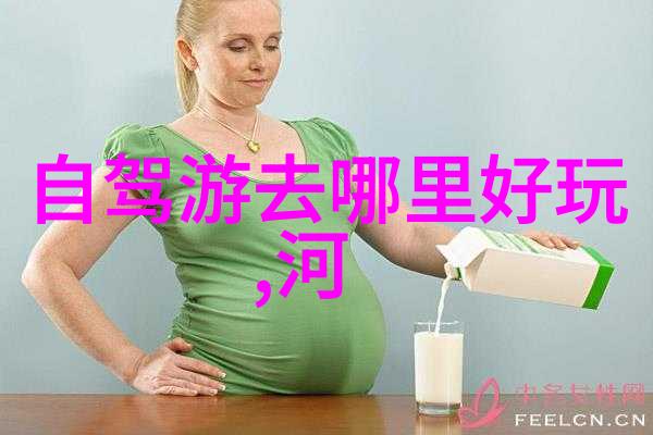 导游之家电子导游入口我是你心里的导游带你探索未知的世界